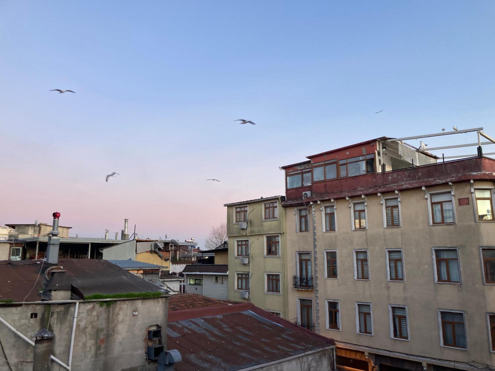 Ulusoy Old City Isztambul Kültér fotó